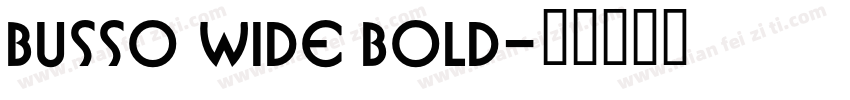 Busso Wide Bold字体转换